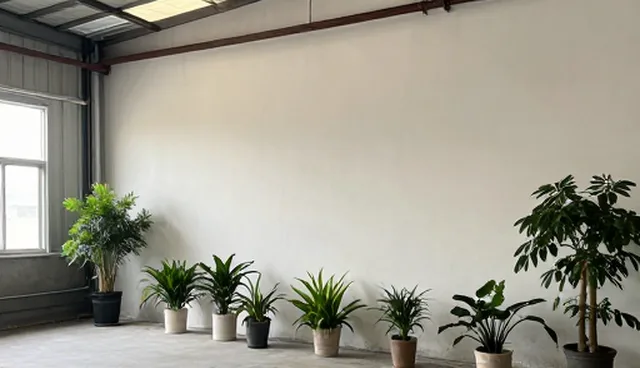 数据采集中的5个检查要点，助力短视频运营套餐精准执行